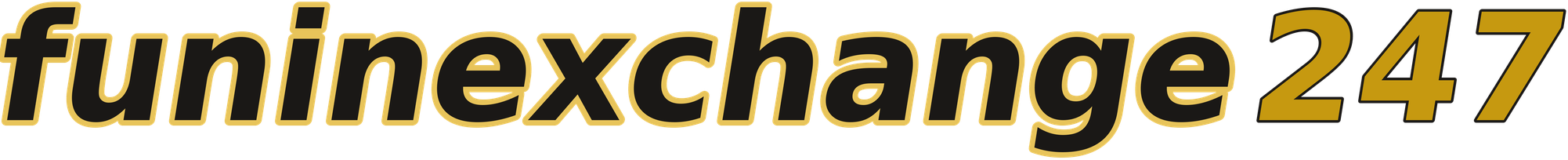 funinexchange247 logo